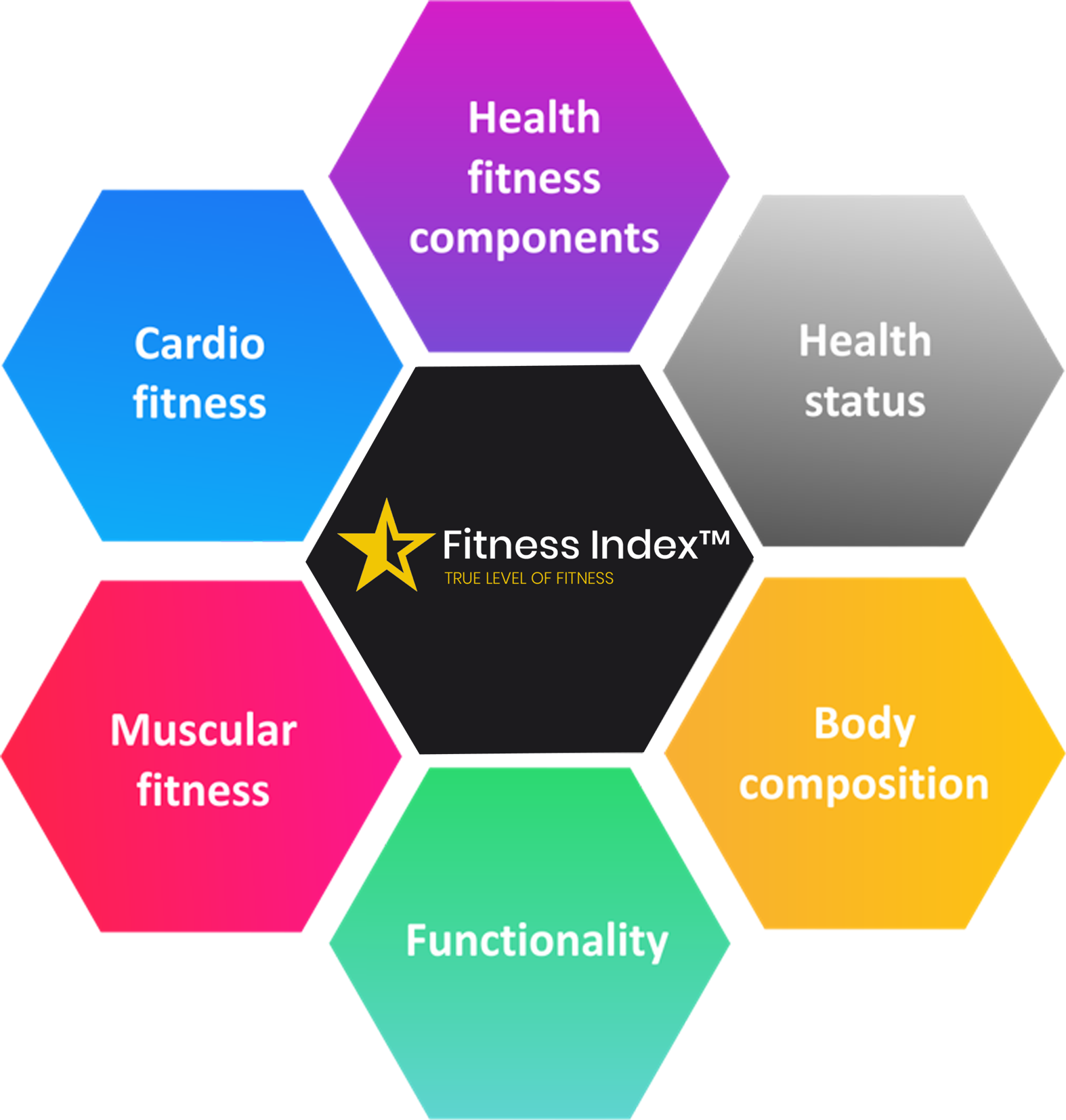 True level of fitness – FitnessIndex